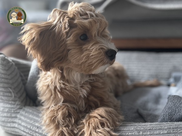 Zdrowie i bezpieczeństwo na pierwszym miejscu