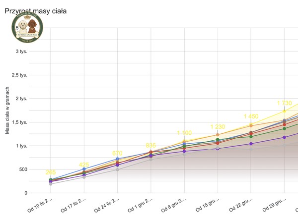 Studium przypadku: Analiza miotu "A"