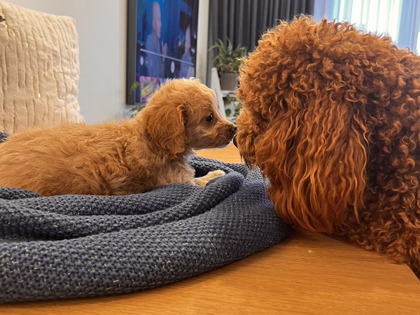 Geny, które robią różnicę