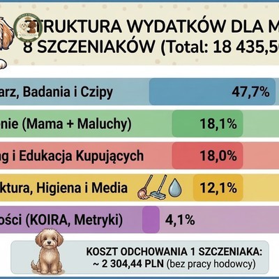 18435 zlotych za milosc - main