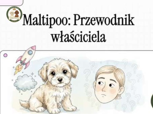 Maltipoo - kompendium wiedzy