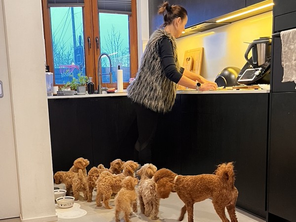 Harmonogram i sposób karmienia