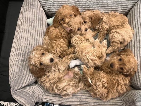 Życie w naszej hodowli 🏠