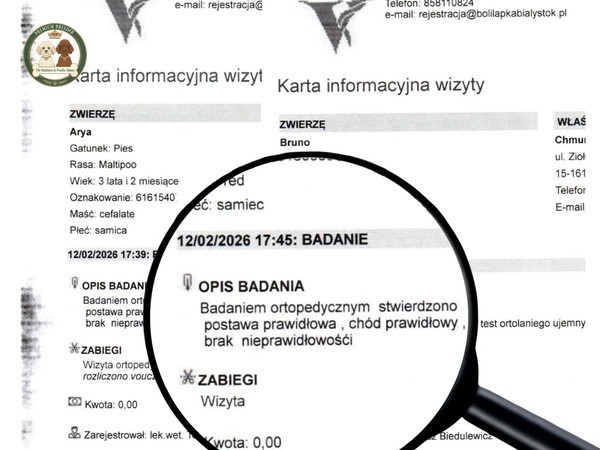 Co oznacza nasz wynik "Grade 0"?