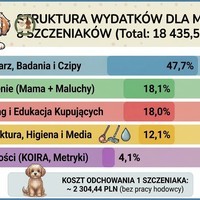 18 435 złotych za miłość. Dlaczego Maltipoo kosztuje 5 000 zł?