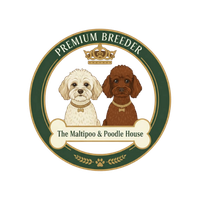 Logo hodowli The Maltipoo & Poodle House